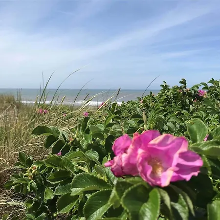 20132-ulfborg-tyttebaervej-19 Дом отдыха Ulfborg