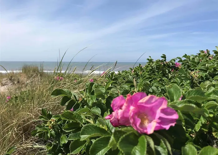 20132-ulfborg-tyttebaervej-19 Дом отдыха Ulfborg